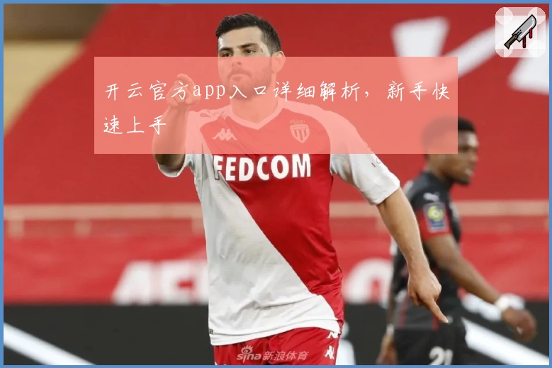 开云官方app入口详细解析，新手快速上手