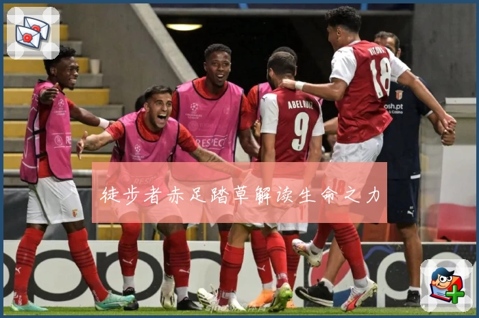 徒步者赤足踏草解读生命之力