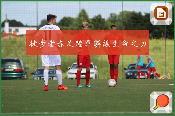 徒步者赤足踏草解读生命之力